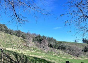 Foto 40 - Casa indipendente Contrada Sant'Anna
 
16, Monte Rinaldo - foto 40