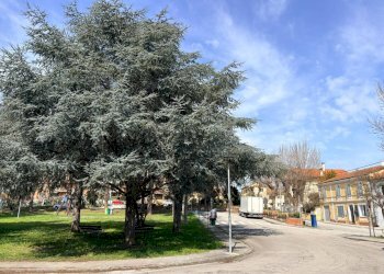 Foto 41 - Attic Piazza della Repubblica
2, Montemarciano - photo 41