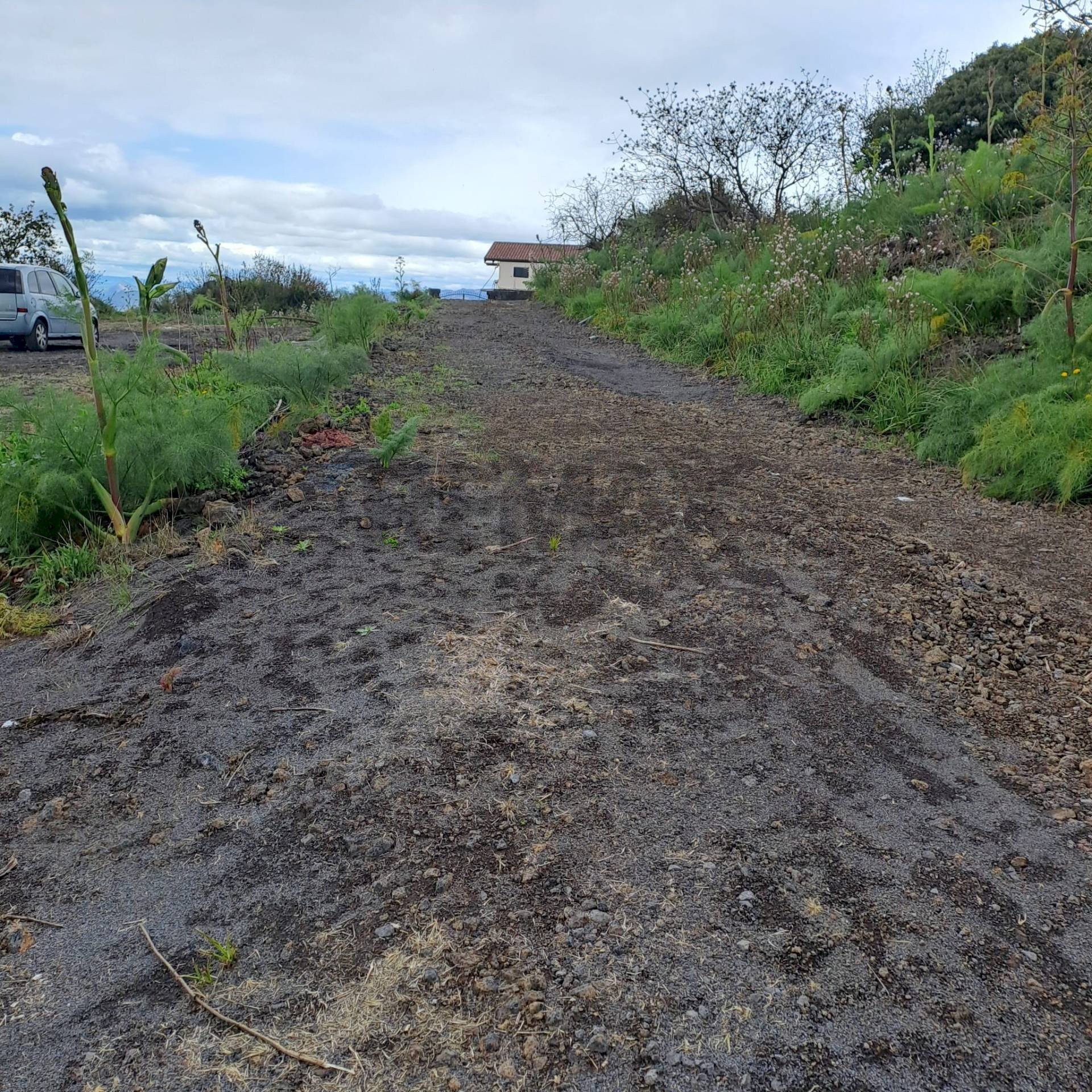 Giardino - Agricultural land Via della Lava
 
snc, Ragalna - photo 1