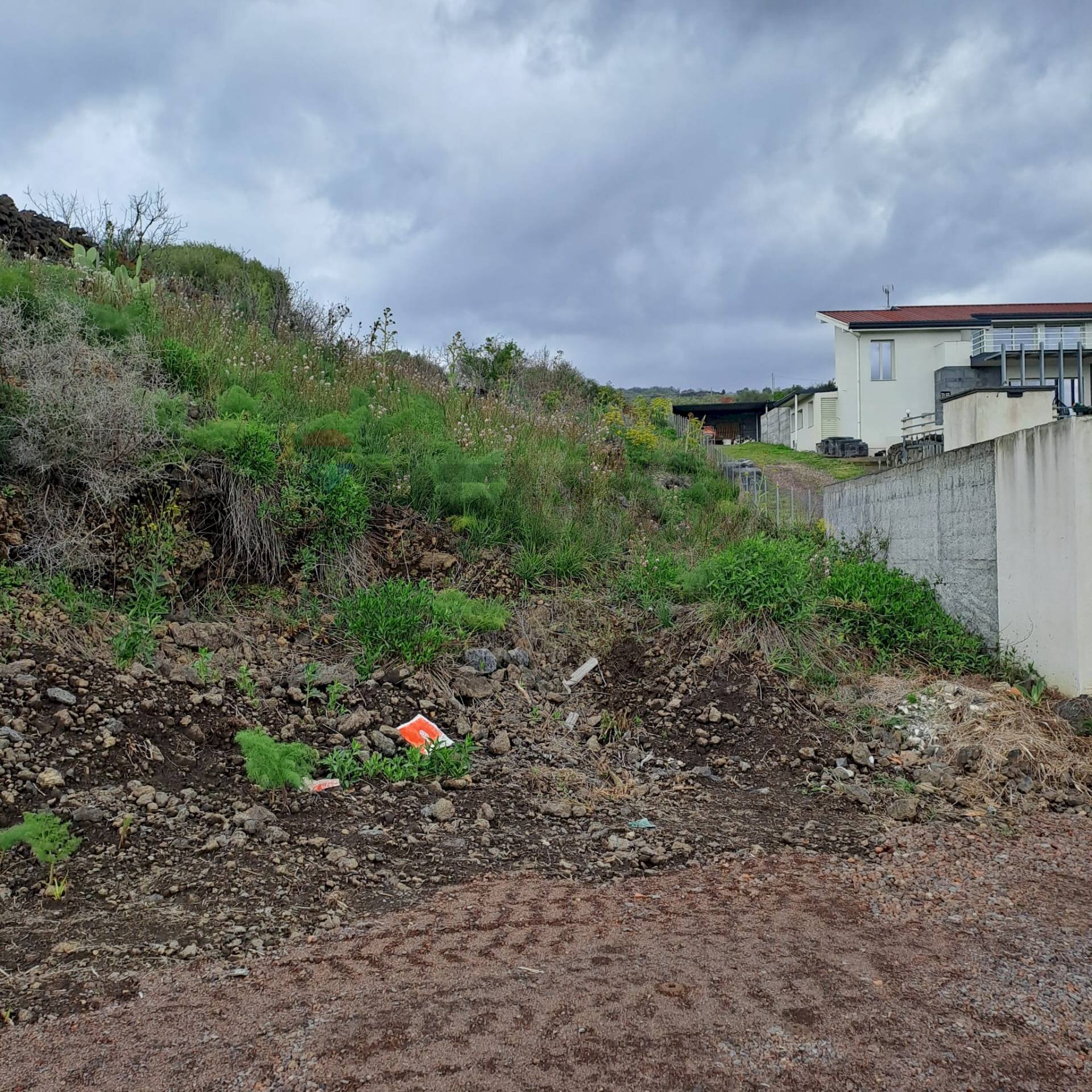 Giardino - Agricultural land Via della Lava
 
snc, Ragalna - photo 2