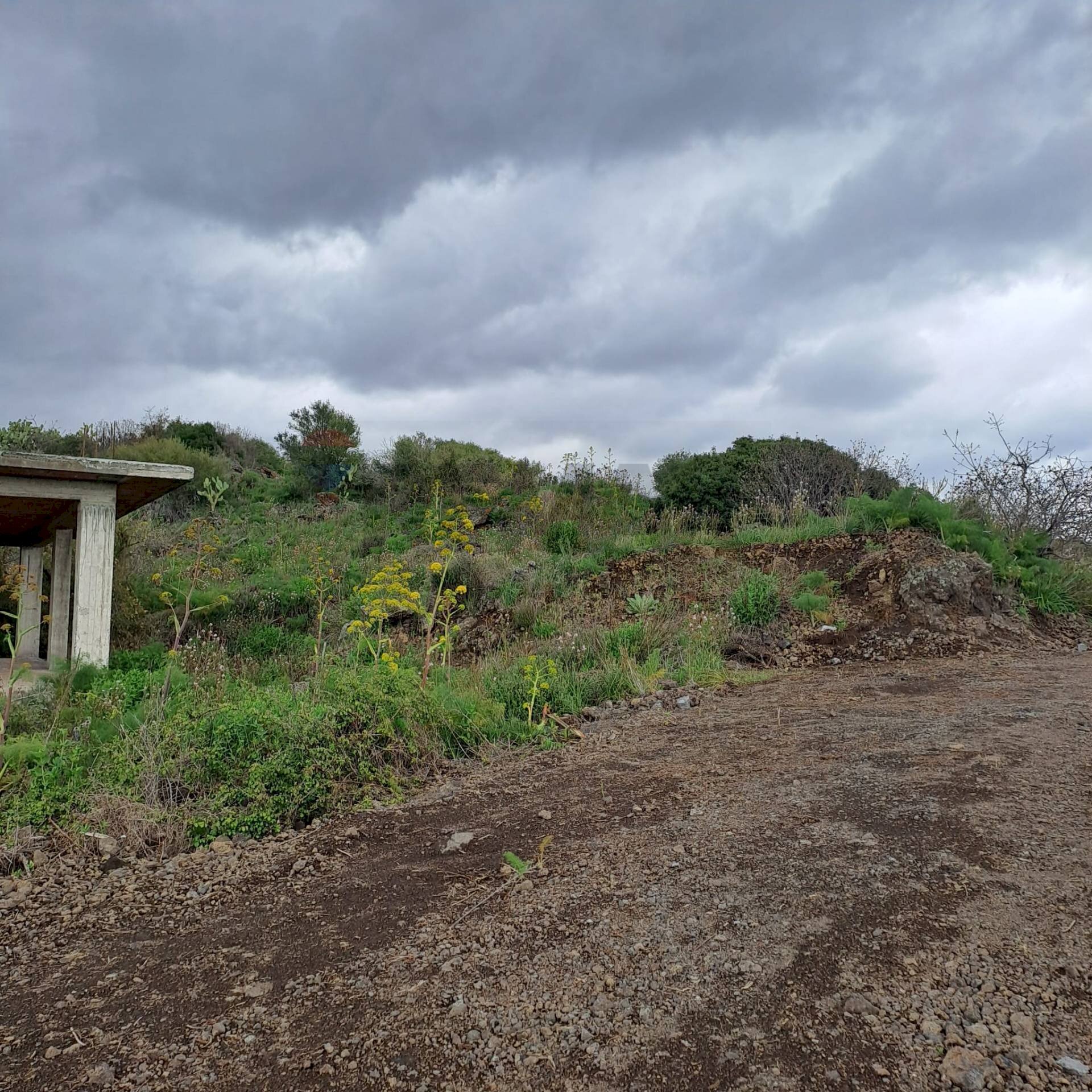 Vista delle montagne - Agricultural land Via della Lava
 
snc, Ragalna - photo 3