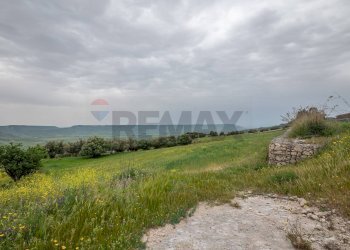 Giardino - Terreno agricolo Strada Statale 417
 
snc, Caltagirone - foto 5