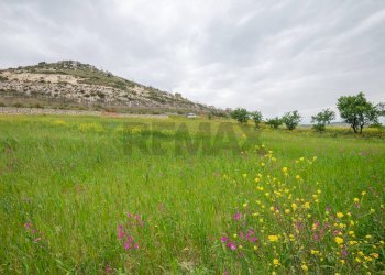 Vista delle montagne - Terreno agricolo Strada Statale 417
 
snc, Caltagirone - foto 8