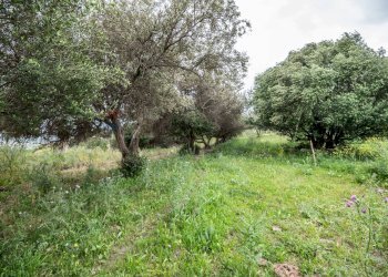 Giardino - Terreno agricolo Strada Statale 417
 
snc, Caltagirone - foto 10