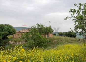Giardino - Terreno agricolo Strada Statale 417
 
snc, Caltagirone - foto 12
