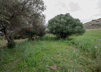 Giardino - Terreno agricolo Strada Statale 417
 
snc, Caltagirone - foto 13