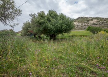 Giardino - Terreno agricolo Strada Statale 417
 
snc, Caltagirone - foto 14