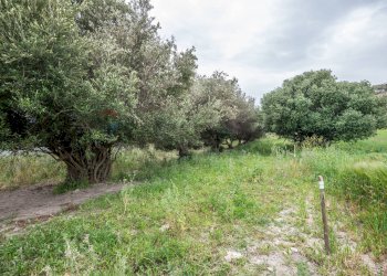 Giardino - Terreno agricolo Strada Statale 417
 
snc, Caltagirone - foto 26