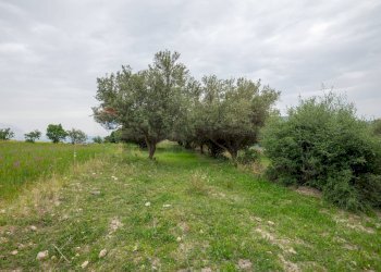 Giardino - Terreno agricolo Strada Statale 417
 
snc, Caltagirone - foto 28