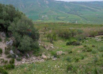 Vista delle montagne - Terreno agricolo Strada Statale 417
 
snc, Caltagirone - foto 29