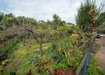 Giardino - Casa semi indipendente C.da Porrazzo
 
30, Paterno - foto 55