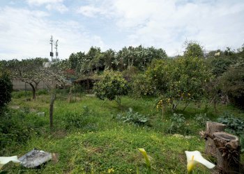 Giardino - Casa semi indipendente C.da Porrazzo
 
30, Paterno - foto 58