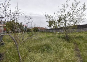 Giardino - Terreno edificabile via giorgio vasari
 
12, Mascalucia - foto 6