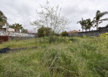 Giardino - Terreno edificabile via giorgio vasari
 
12, Mascalucia - foto 23