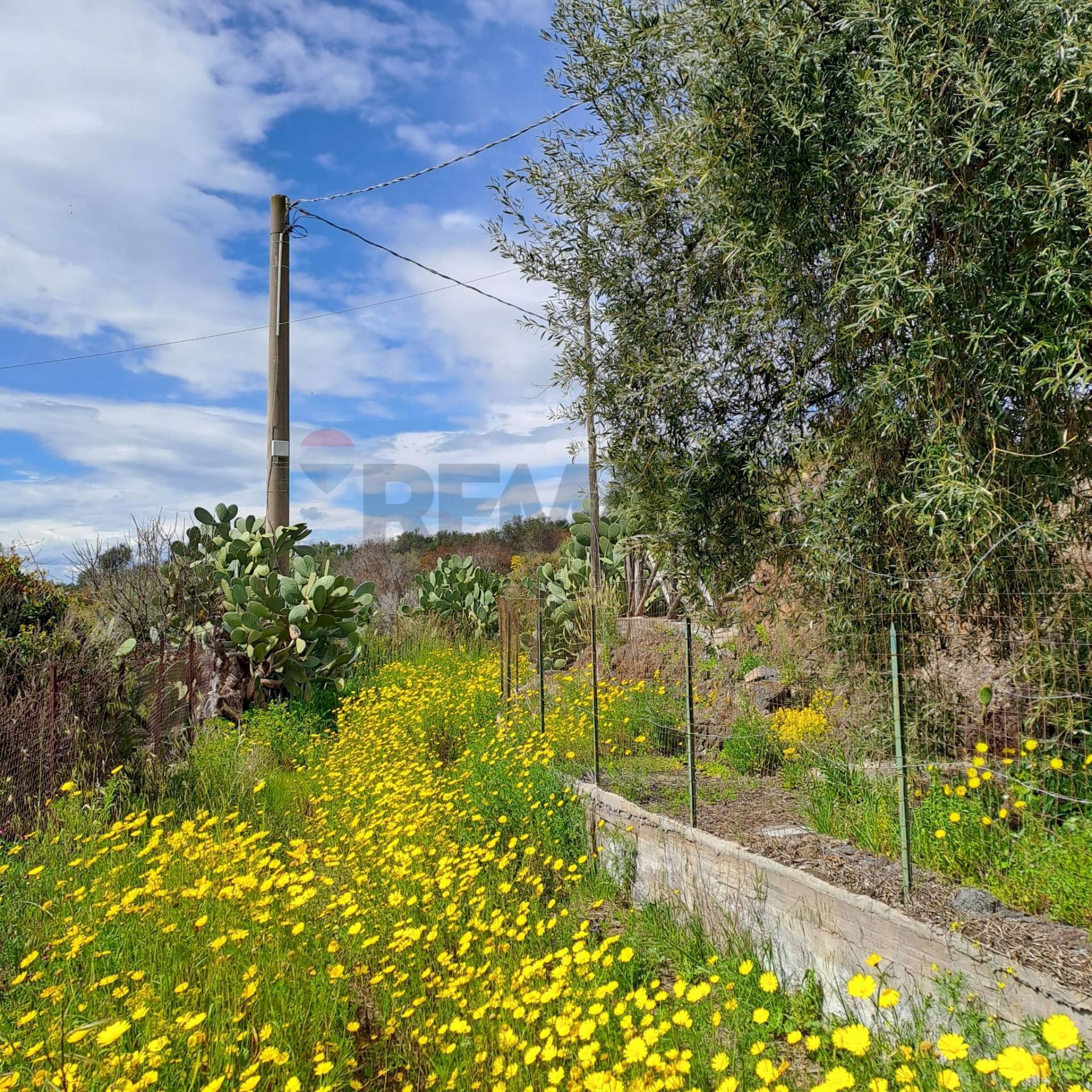 Giardino - Terreno agricolo Contrada Scalilli - Paternò, Paterno - foto 1