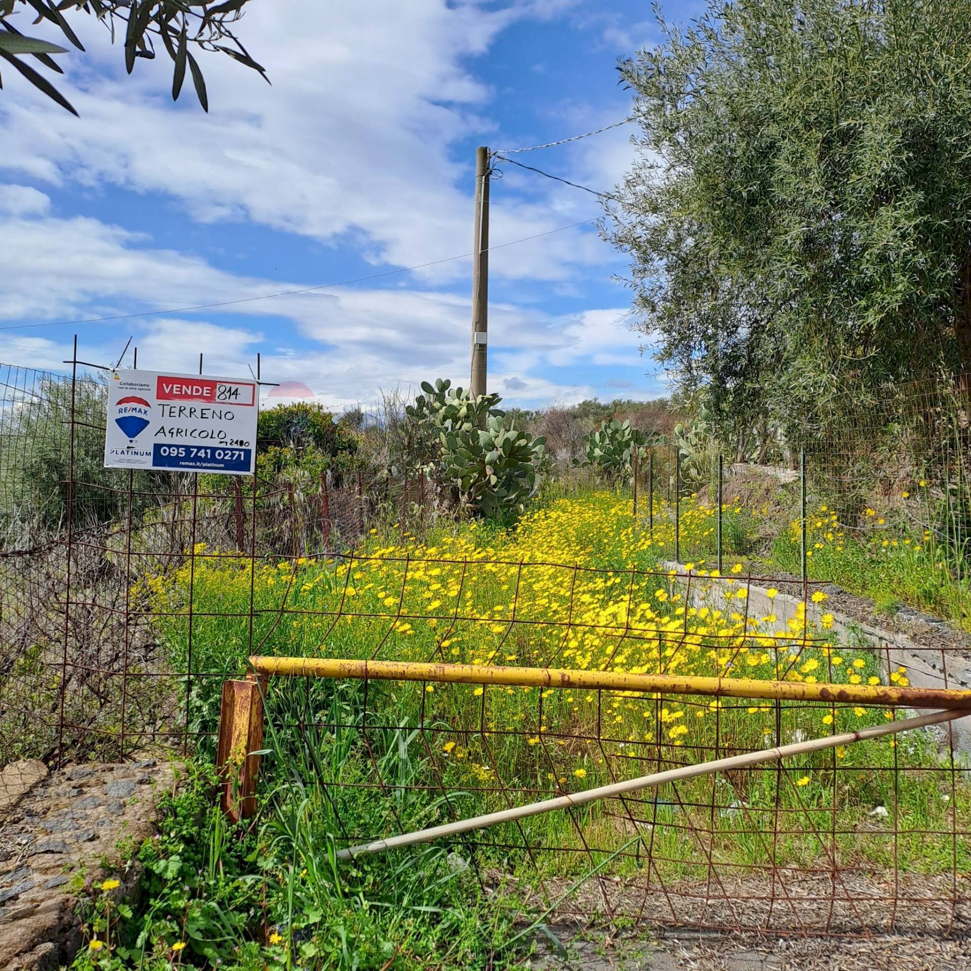 Giardino - Agricultural land Contrada Scalilli - Paternò, Paterno - photo 1