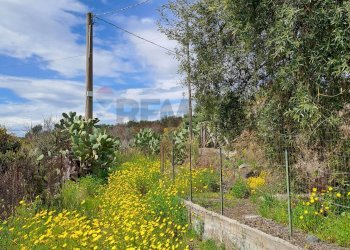 Giardino - Terreno agricolo Contrada Scalilli - Paternò, Paterno - foto 1