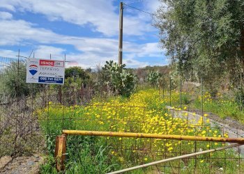 Giardino - Terreno agricolo Contrada Scalilli - Paternò, Paterno - foto 4