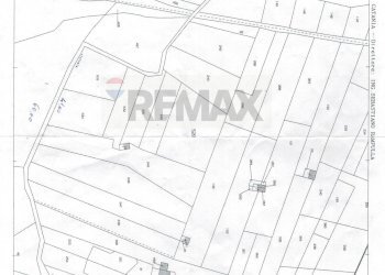 Pianta 2D - Terreno agricolo Contrada Scalilli - Paternò, Paterno - foto 5