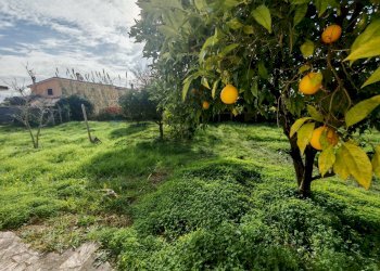 Giardino - Villa Via marte
 
12, Anzio - foto 22