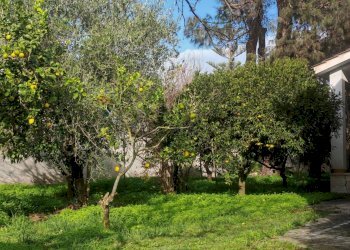 Giardino - Villa Via marte
 
12, Anzio - foto 24