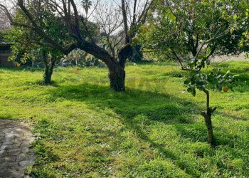 Giardino - Villa Via marte
 
12, Anzio - foto 35