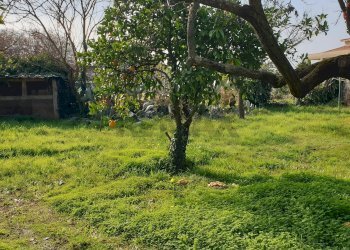 Giardino - Villa Via marte
 
12, Anzio - foto 39