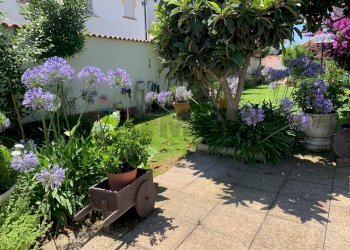 Giardino - Villa Ardea - foto 6