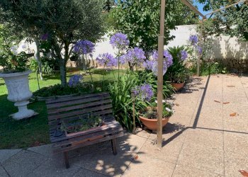 Giardino - Villa Ardea - foto 7