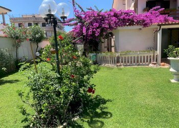 Giardino - Villa Ardea - foto 8