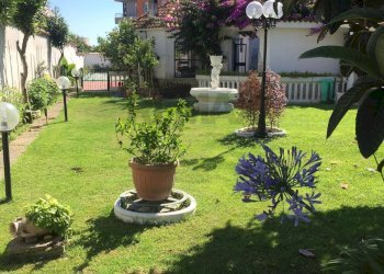 Giardino - Villa Ardea - foto 9