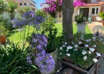 Giardino - Villa Ardea - foto 10