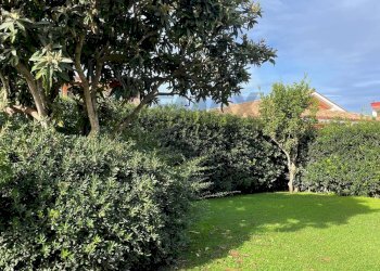 Giardino - Villa VIA TRONTO
 
33, Ardea - foto 5