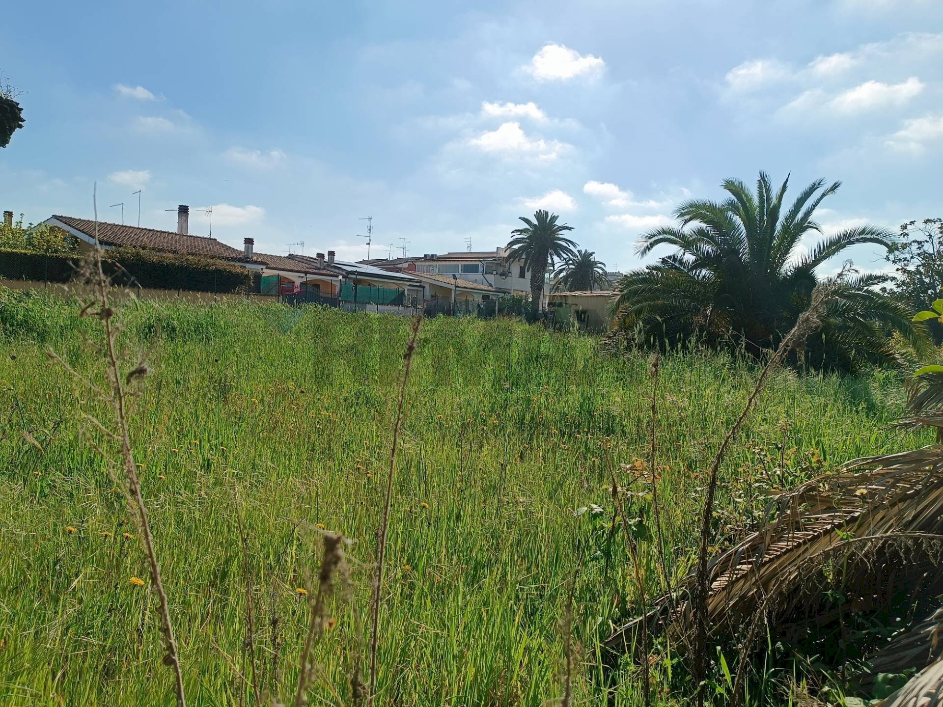 Giardino - Terreno edificabile via tanaro
28, Ardea - foto 3