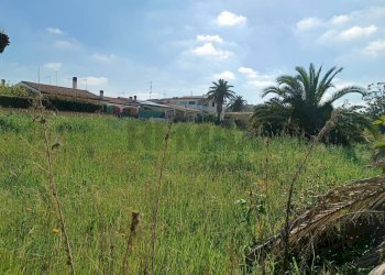 Giardino - Terreno edificabile via tanaro
 
28, Ardea - foto 5