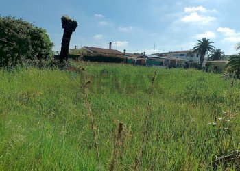 Giardino - Terreno edificabile via tanaro
 
28, Ardea - foto 6