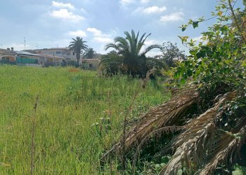 Giardino - Terreno edificabile via tanaro
 
28, Ardea - foto 7