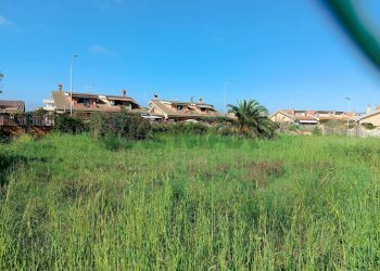 Giardino - Terreno edificabile via tanaro
 
28, Ardea - foto 11