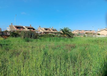 Giardino - Terreno edificabile via tanaro
 
28, Ardea - foto 12