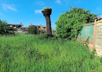 Giardino - Terreno edificabile via tanaro
 
28, Ardea - foto 13