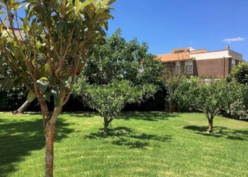 Giardino - Apartment via elena
4, Ardea - photo 16