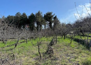 Giardino - Terreno agricolo via linguaglossa
 
37, Sant'Alfio - foto 2