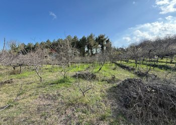 Vista delle montagne - Terreno agricolo via linguaglossa
 
37, Sant'Alfio - foto 10
