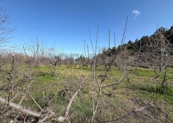 Vista delle montagne - Terreno agricolo via linguaglossa
 
37, Sant'Alfio - foto 11