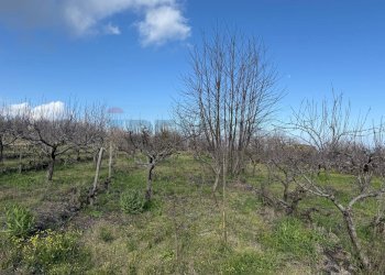 Vista delle montagne - Terreno agricolo via linguaglossa
 
37, Sant'Alfio - foto 14