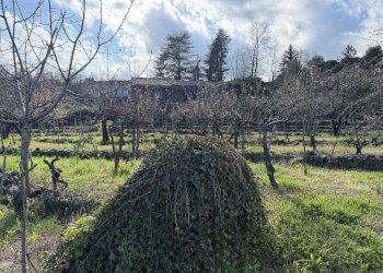 Giardino - Terreno agricolo via linguaglossa
 
37, Sant'Alfio - foto 15