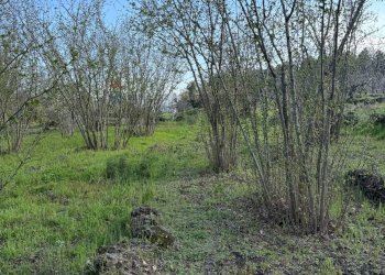 Giardino - Terreno agricolo via linguaglossa
 
37, Sant'Alfio - foto 17