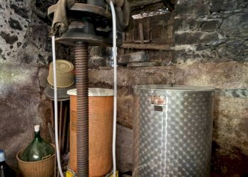 Dettagli - Terreno agricolo via linguaglossa
 
37, Sant'Alfio - foto 24