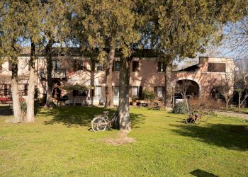 Giardino - Locale Commerciale Ceregnano - foto 4