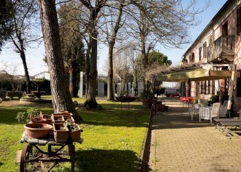 Giardino - Locale Commerciale Ceregnano - foto 5